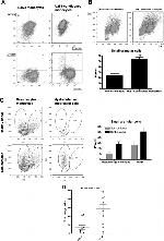 CD11b Antibody in Flow Cytometry (Flow)