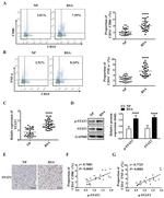 CD14 Antibody in Flow Cytometry (Flow)