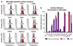 CD163 Antibody in Flow Cytometry (Flow)