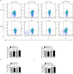 CD19 Antibody in Flow Cytometry (Flow)