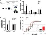 CD19 Antibody in Flow Cytometry (Flow)