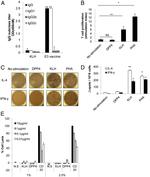 CD20 Antibody in Functional Assay (Functional)