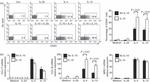 CD23 Antibody in Flow Cytometry (Flow)