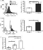 CD24 Antibody in Flow Cytometry (Flow)