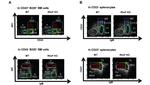 CD45R (B220) Antibody in Flow Cytometry (Flow)