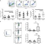 F4/80 Antibody in Flow Cytometry (Flow)