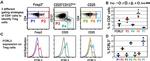 FOXP3 Antibody in Flow Cytometry (Flow)