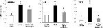 CD117 (c-Kit) Antibody in Flow Cytometry (Flow)