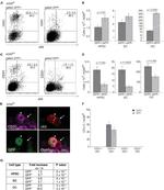 CD31 (PECAM-1) Antibody in Flow Cytometry (Flow)