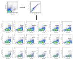 CD33 Antibody in Flow Cytometry (Flow)