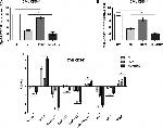 CD34 Antibody in Flow Cytometry (Flow)