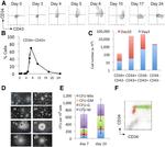 CD34 Antibody in Flow Cytometry (Flow)