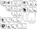 CD38 Antibody in Flow Cytometry (Flow)