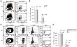 IgD Antibody in Flow Cytometry (Flow)