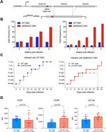 CD38 Antibody in Flow Cytometry (Flow)