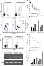 CD25 Antibody in Flow Cytometry (Flow)