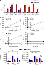 CD86 (B7-2) Antibody in Flow Cytometry (Flow)