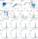 CD40 Antibody in Flow Cytometry (Flow)