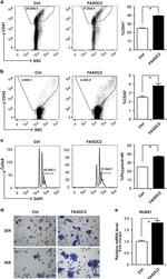 CD42d Antibody in Flow Cytometry (Flow)