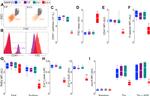 CD41a Antibody in Flow Cytometry (Flow)