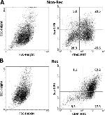 Ly-6A/E (Sca-1) Antibody in Flow Cytometry (Flow)