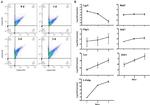 CD44 Antibody in Flow Cytometry (Flow)