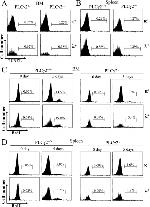 CD45R (B220) Antibody in Flow Cytometry (Flow)