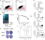 CD45R (B220) Antibody in Flow Cytometry (Flow)