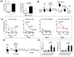 CD150 Antibody in Flow Cytometry (Flow)