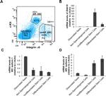 CD49f (Integrin alpha 6) Antibody in Flow Cytometry (Flow)