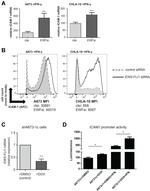 CD54 (ICAM-1) Antibody in Flow Cytometry (Flow)