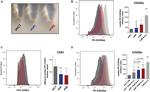 CD235a (Glycophorin A) Antibody in Flow Cytometry (Flow)