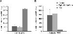 CD62L (L-Selectin) Antibody in Flow Cytometry (Flow)