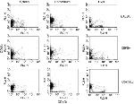 CD66a (CEACAM1) Antibody in Flow Cytometry (Flow)