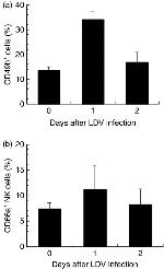 CD66a (CEACAM1) Antibody in Flow Cytometry (Flow)