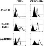 CD66a (CEACAM1) Antibody in Flow Cytometry (Flow)