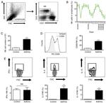 IL-13 Antibody in Flow Cytometry (Flow)