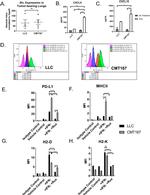 MHC Class I (H-2Kb) Antibody in Flow Cytometry (Flow)