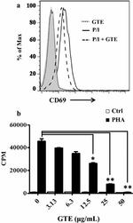 CD69 Antibody in Flow Cytometry (Flow)