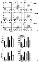 CD83 Antibody in Flow Cytometry (Flow)