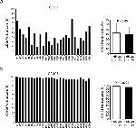 CD90 (Thy-1) Antibody in Flow Cytometry (Flow)