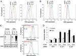 CD95 (APO-1/Fas) Antibody in Flow Cytometry (Flow)