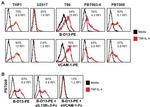 CD106 (VCAM-1) Antibody in Flow Cytometry (Flow)