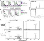 CD106 (VCAM-1) Antibody in Flow Cytometry (Flow)