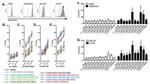 CD107a (LAMP-1) Antibody in Flow Cytometry (Flow)