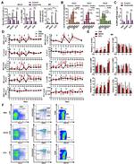 CD115 (c-fms) Antibody in Flow Cytometry (Flow)