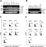 CD124 Antibody in Flow Cytometry (Flow)