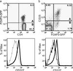 CD127 Antibody in Flow Cytometry (Flow)