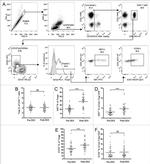 CD127 Antibody in Flow Cytometry (Flow)