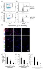 SOX2 Antibody in Flow Cytometry (Flow)